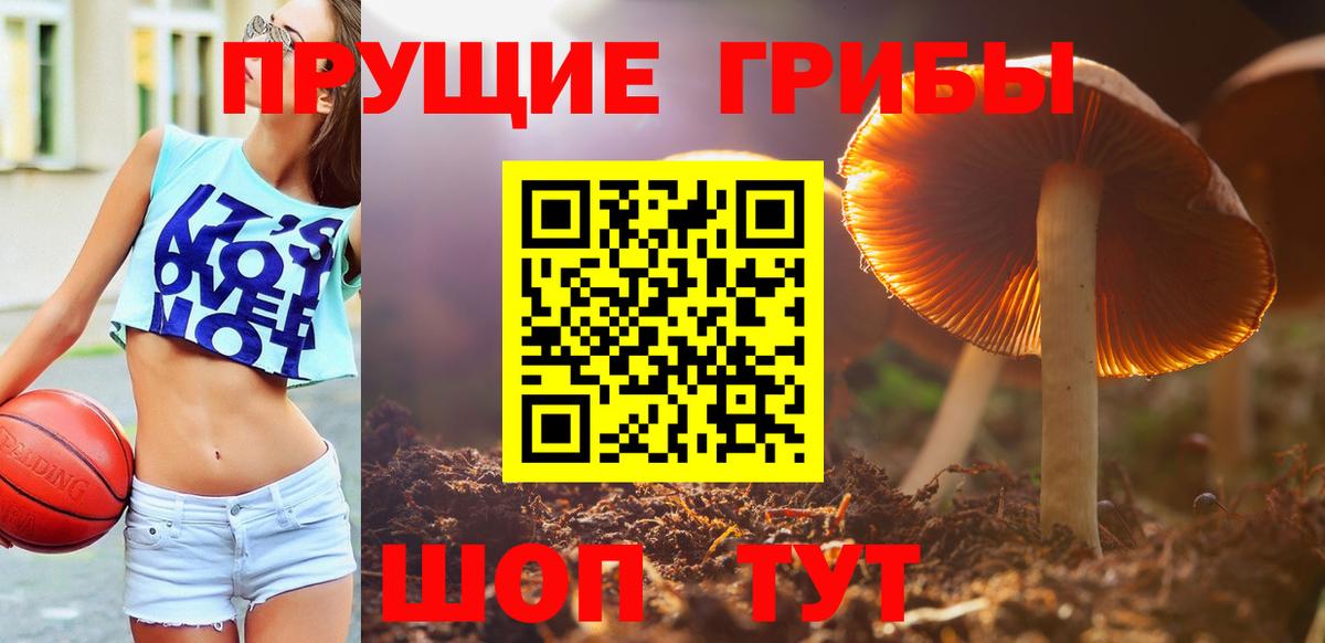 Тверь  Псилоцибиновые грибы мицелий  Вход с VPN 